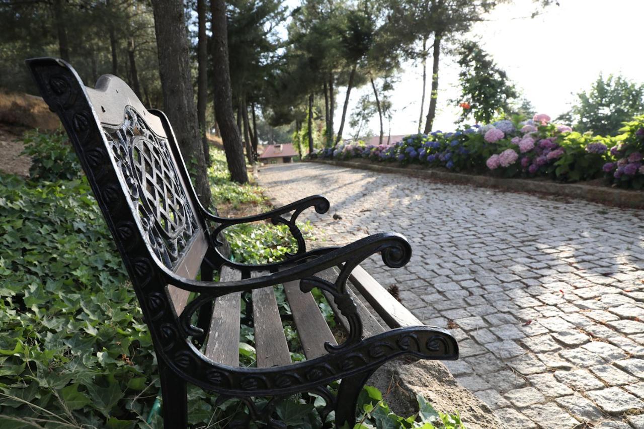O Casario Bed & Breakfast Mirandela Ngoại thất bức ảnh